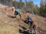 Dobrovolníci pomohli zalesnit Hostýnské vrchy