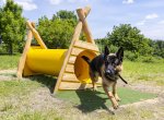 ​Chovatelé psů mohou využít modernizované agility hřiště ve Vážanech
