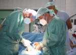 Chirurgové se v Kroměříži školili na moderní operování kýly