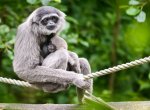 Zoo Zlín hlásí - rok 2022 byl nejúspěšnějším rokem v historii zahrady