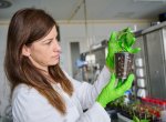 Zlínští vědci vyrábějí gely ze syrovátky. Bojují tak se suchem