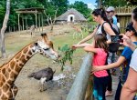 ​Zoo Zlín je třetím nejnavštěvovanějším turistickým místem České republiky za rok 2021