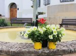 Radnice ve Valašských Kloboukách rozdá obyvatelům sazenice balkonových květin