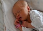 V Uherskohradišťské nemocnici se letos narodilo už 560 dětí