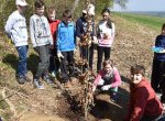 Kroměřížští školáci vysázeli ve městě přes dva tisíce stromů